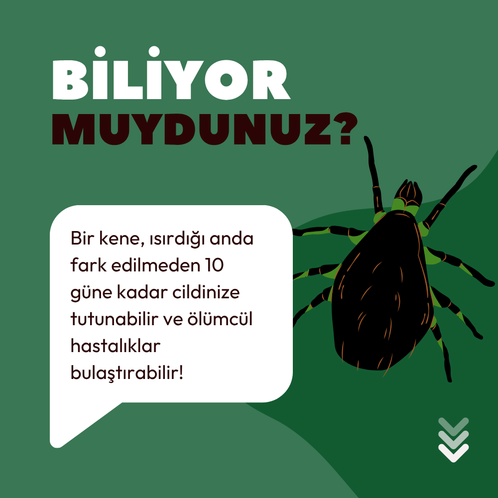 Kendinizi ve Çocuklarınızı korumak için iyi bir ürün arıyorsanız bunu denemelisiniz.